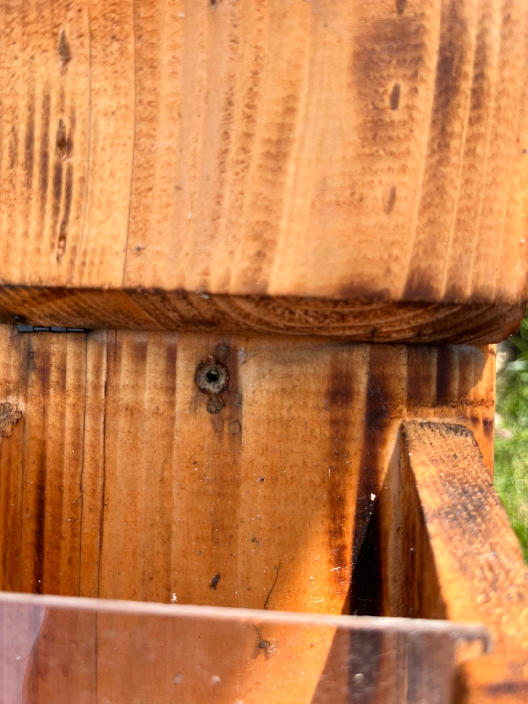 Wooden "Nut Bar" Feeder - photo 3