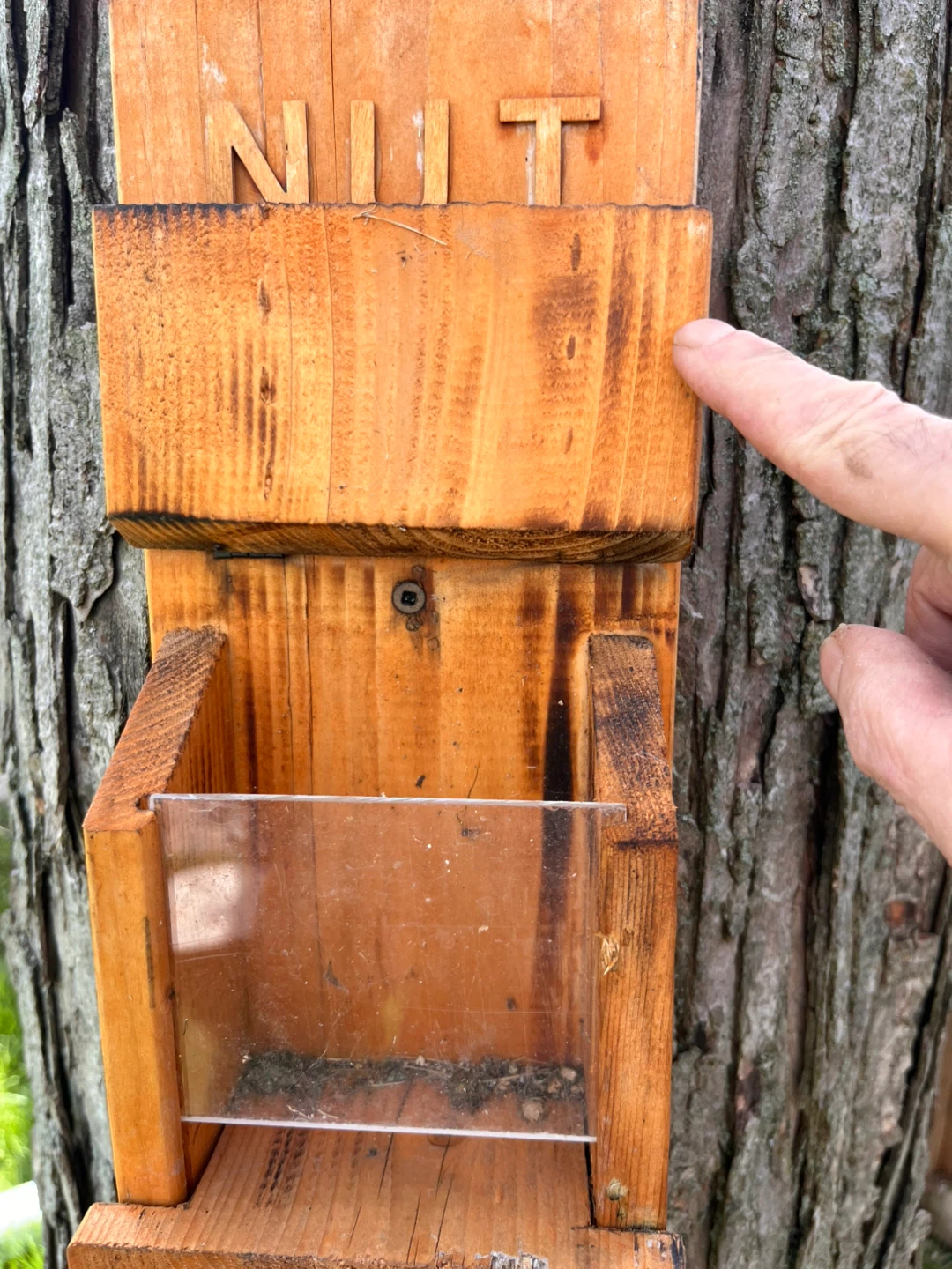 Wooden "Nut Bar" Feeder - photo 2