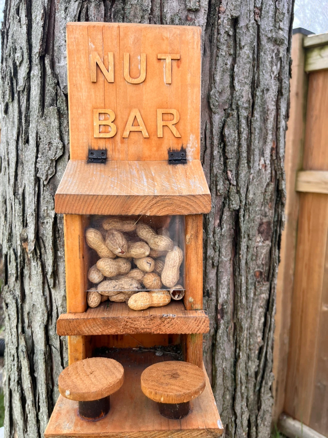 Wooden "Nut Bar" Feeder - photo 4