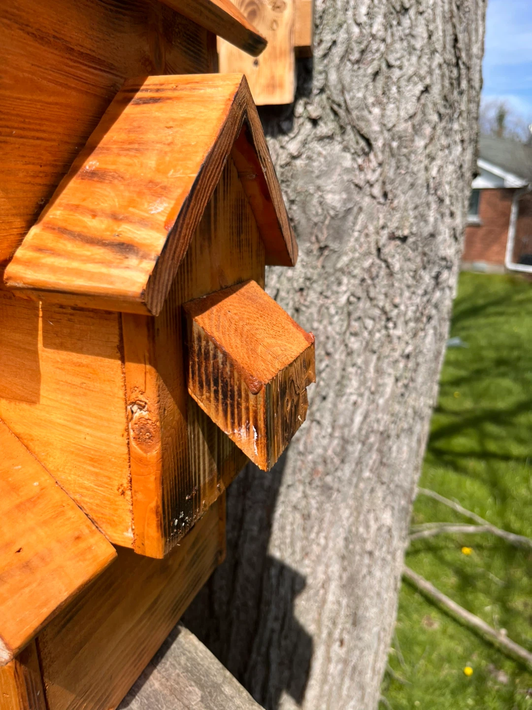 Wooden Birdhouse - photo 3
