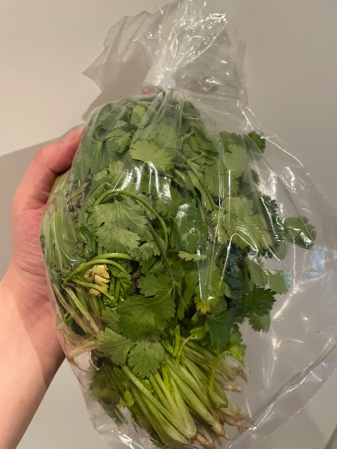 Groceries - produce