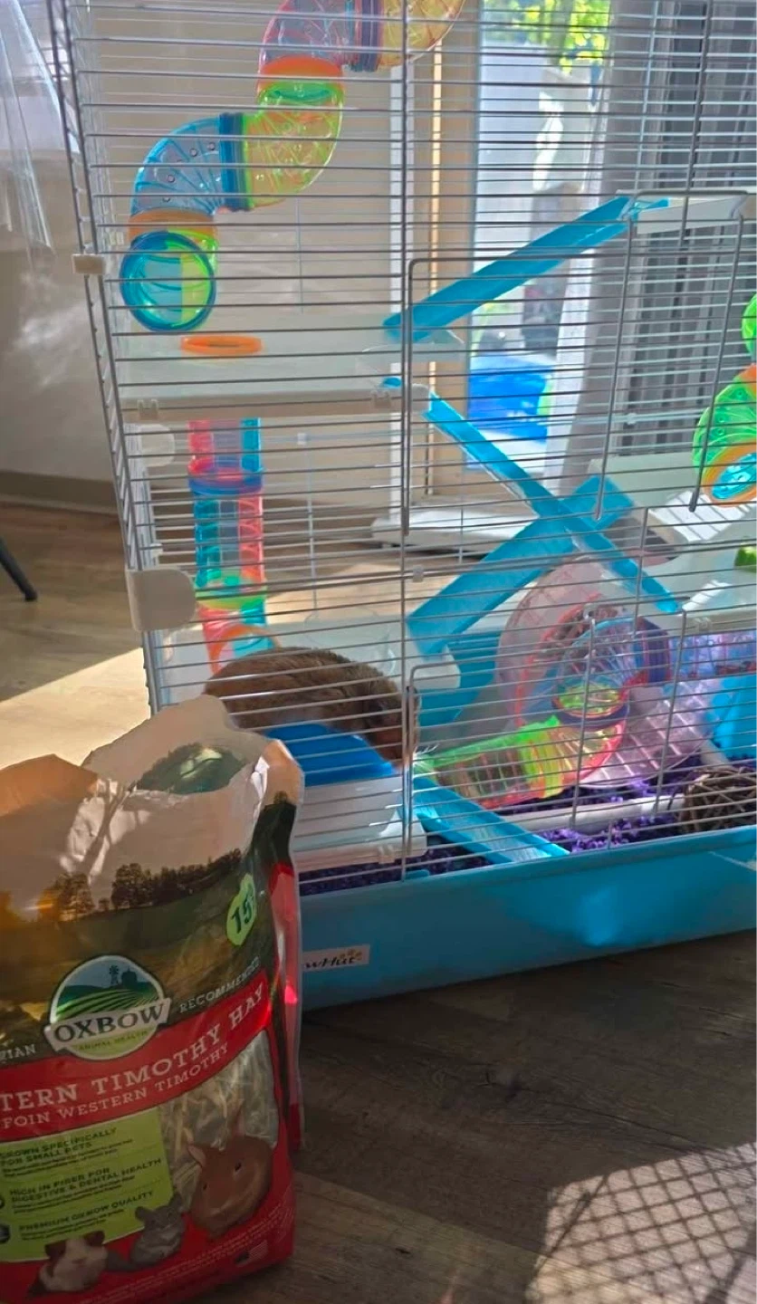 Hamster Cage with Accessories and Food - photo 2