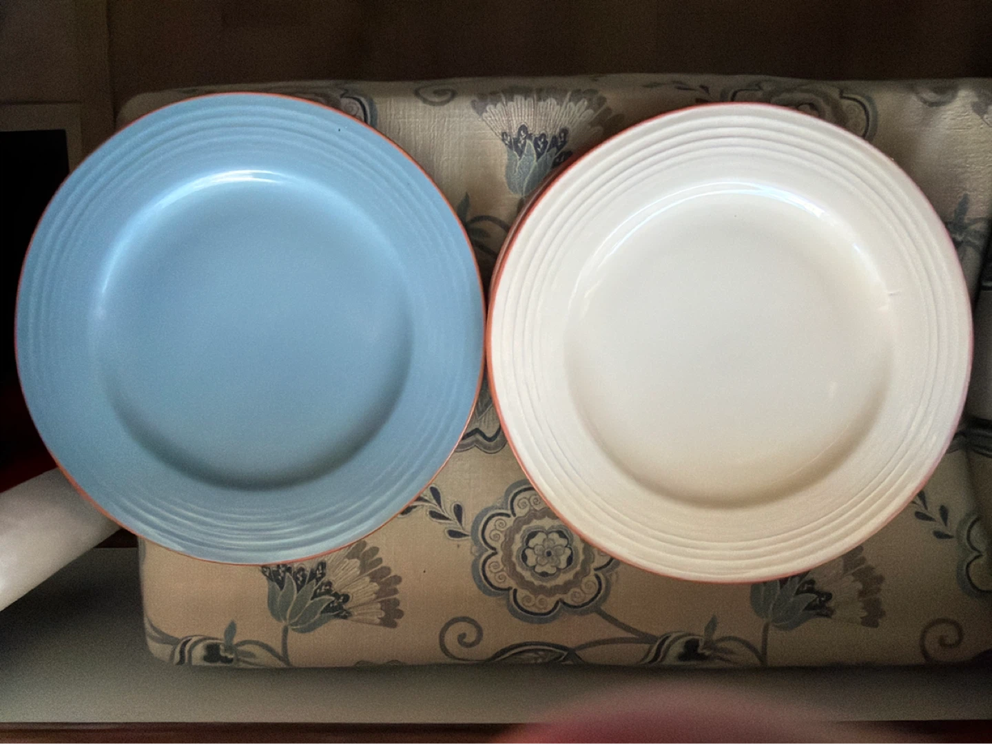 Extra Large Dinner Plates - Blue and Tan
