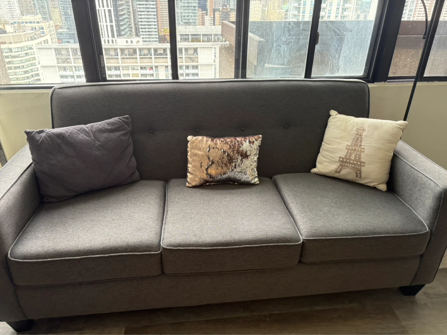 Paris throw pillow/cushions