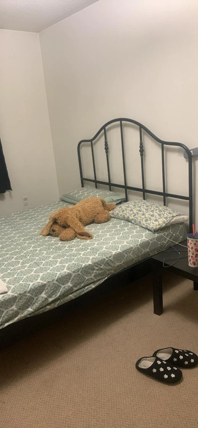 Black iron bed with queen size mattress