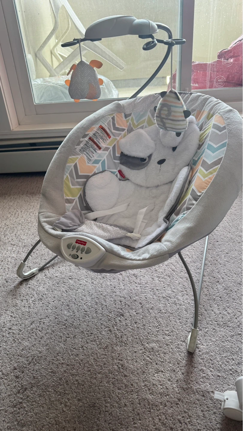 Fisher-Price Baby Bouncer Seat with Toy Bar