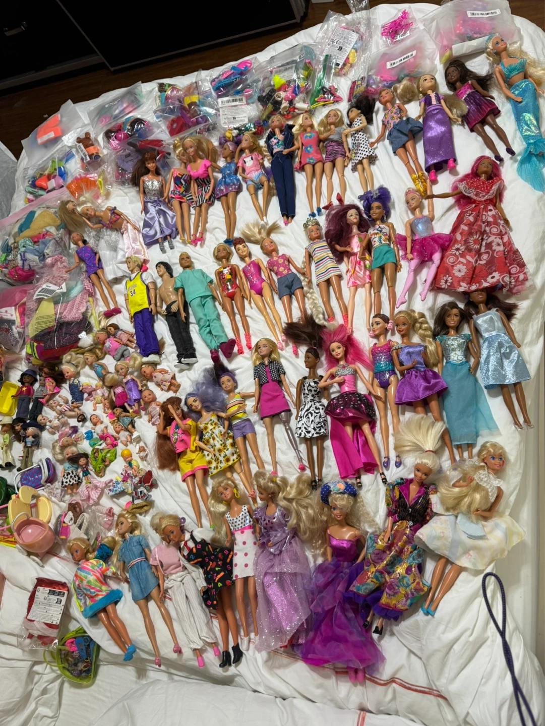 Barbie Dolls and Accessories
