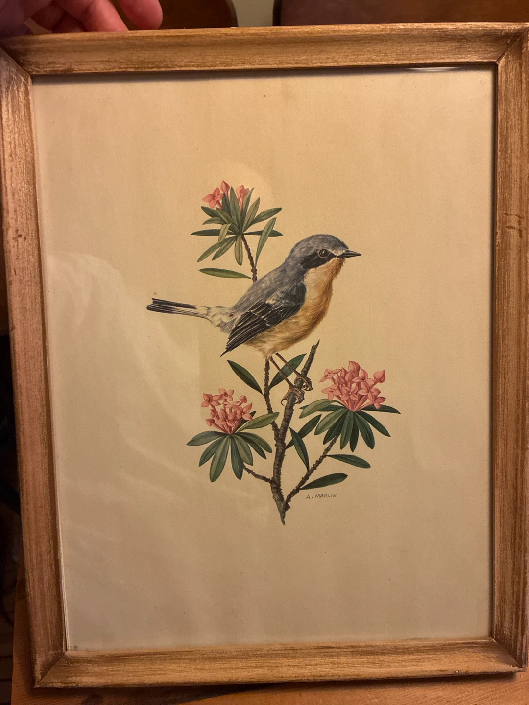 Framed Bird and Flower Print by A. Marlin - photo 2