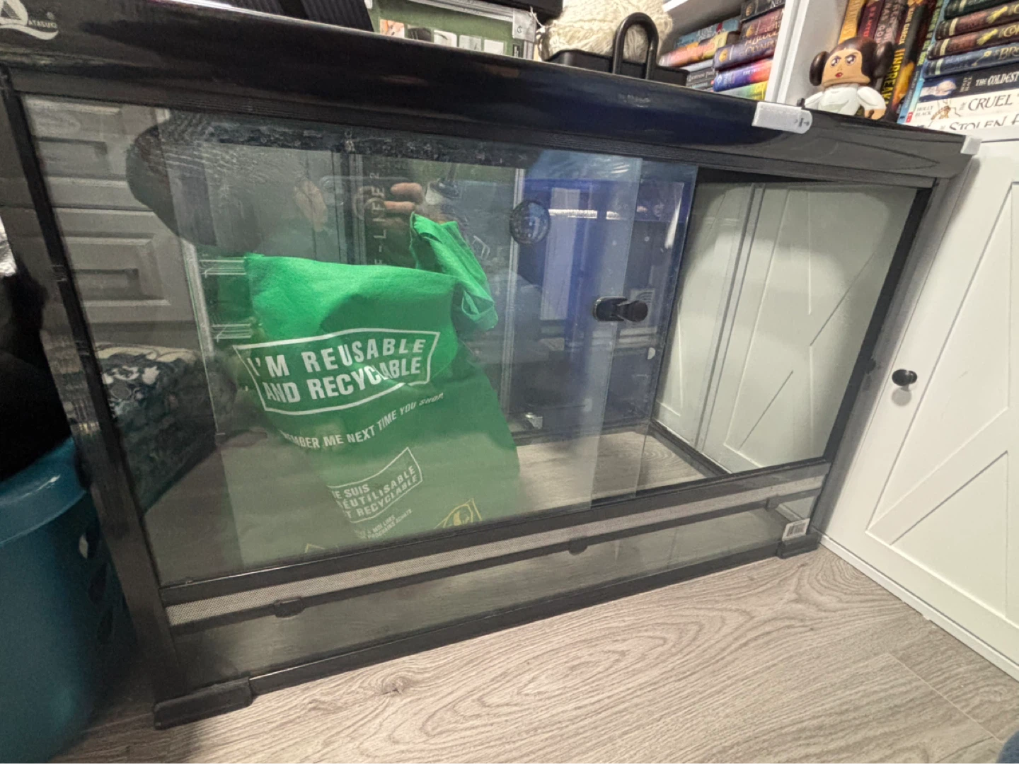 Terrarium / Reptile Habitat