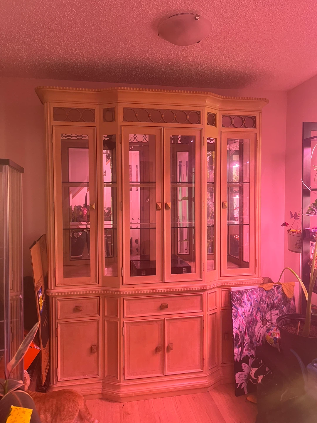 Wooden Display Cabinet with Glass Doors - photo 3
