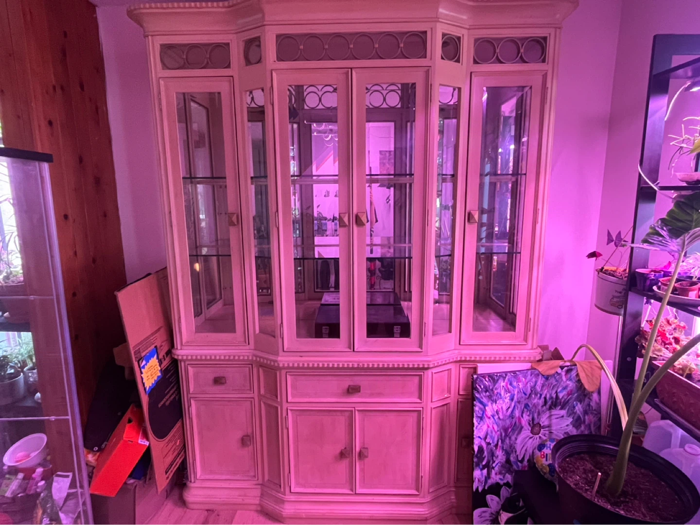 Wooden Display Cabinet with Glass Doors