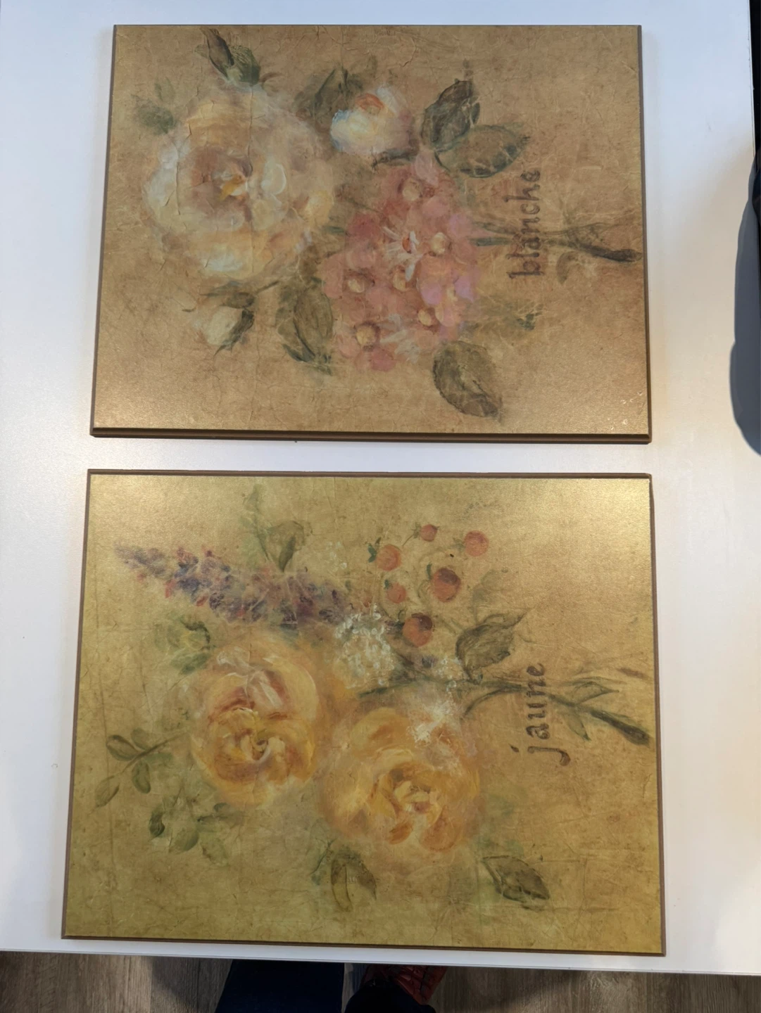 Decorative Wall Art Plaque Set - Blanche & Jaune Floral Design