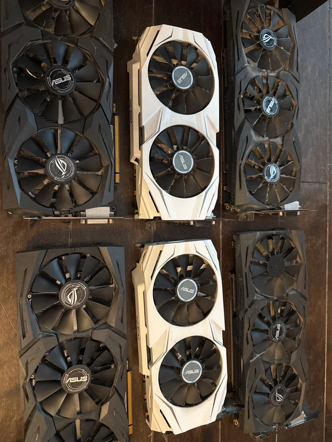 ASUS Graphics Cards - Black & White