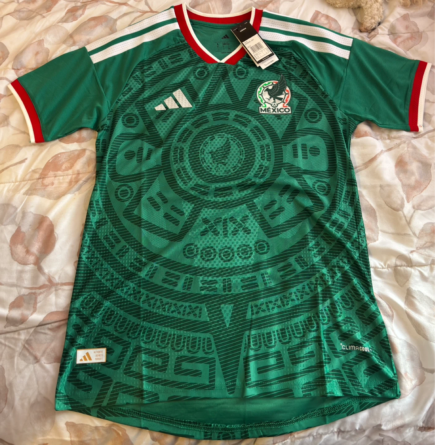 Mexico 26 Home Authentic Jersey CLIMACOOL+ (Player version)