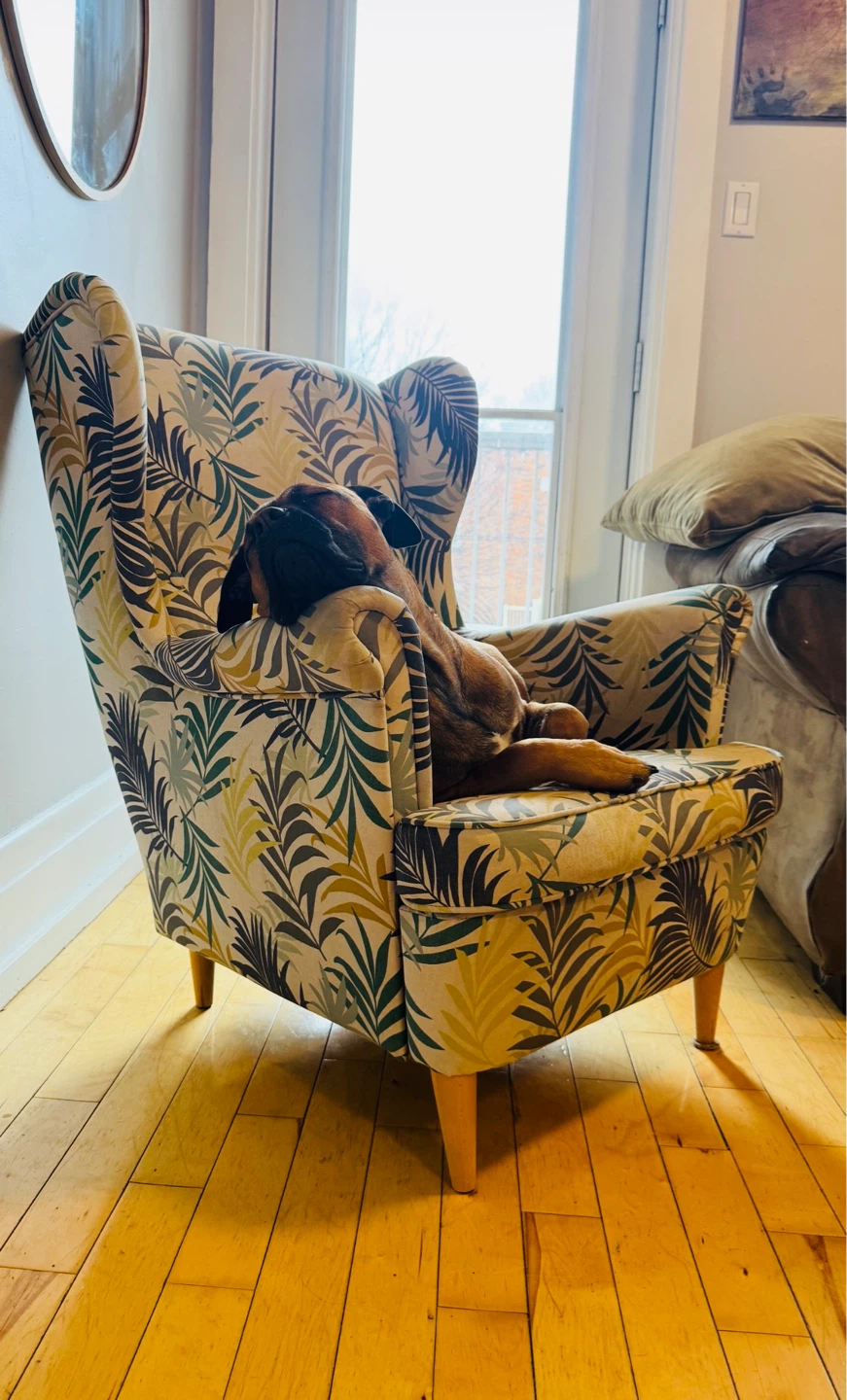 Fauteuil à oreilles - photo 3