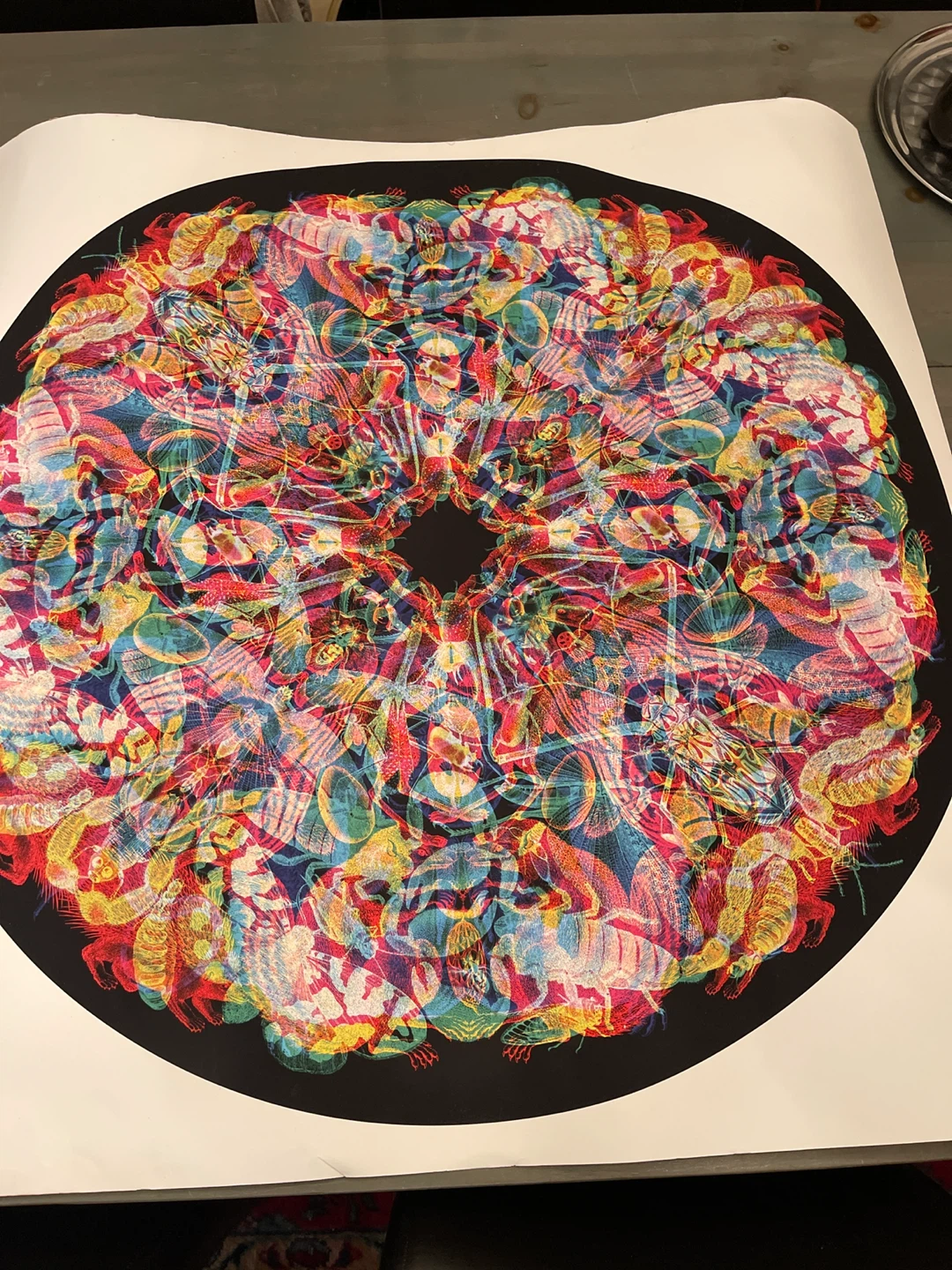 Vibrant Circular Art Print - Abstract Insect Design