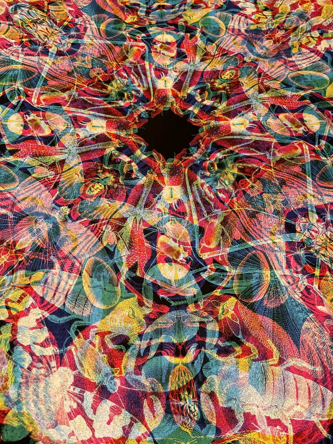 Vibrant Circular Art Print - Abstract Insect Design - photo 2