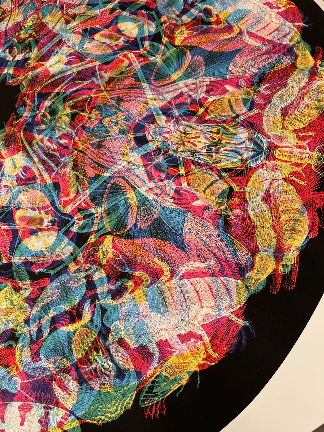 Vibrant Circular Art Print - Abstract Insect Design - photo 3