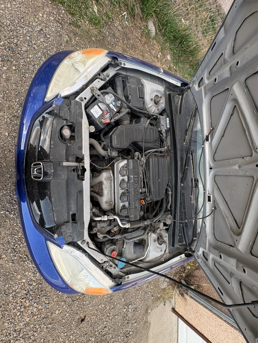 Blue Honda Civic Coupe Manual Trans - photo 2