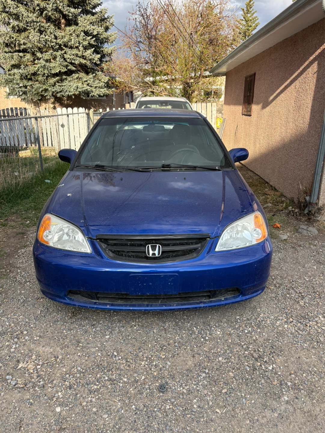 Blue Honda Civic Coupe Manual Trans - photo 5