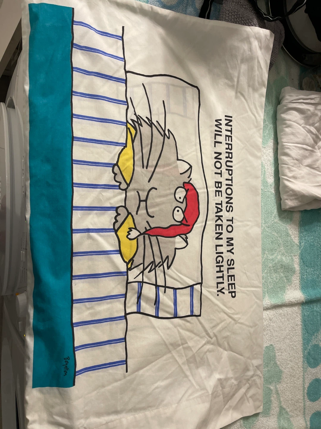 1 Cartoon Cat Pillowcase