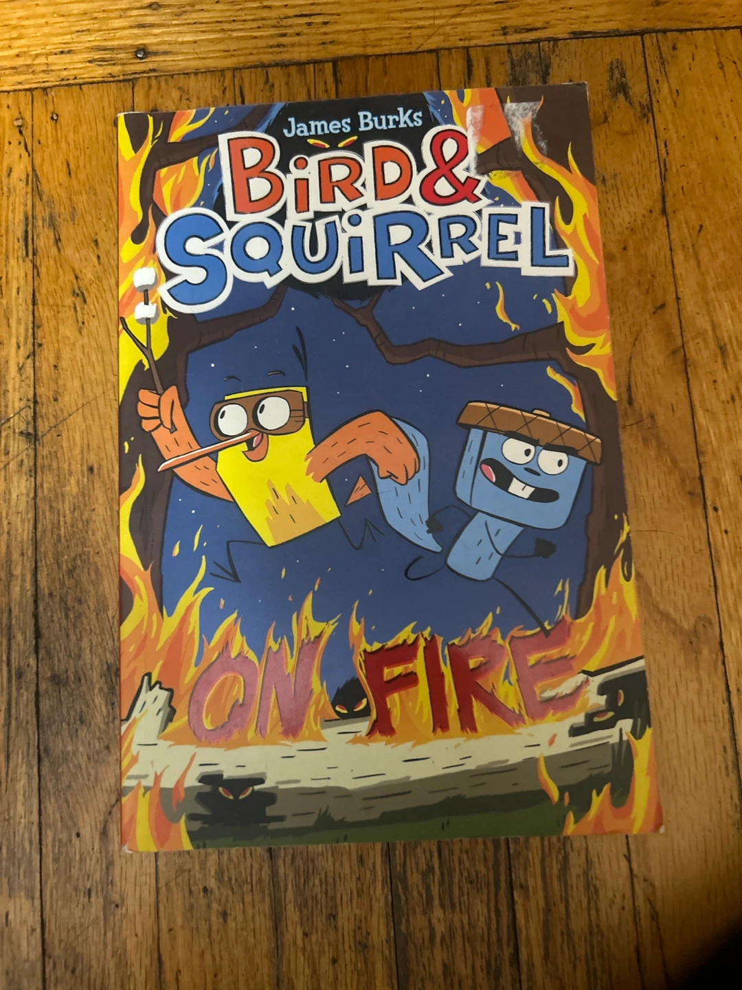 Bird & Squirrel On Fire by James Burks