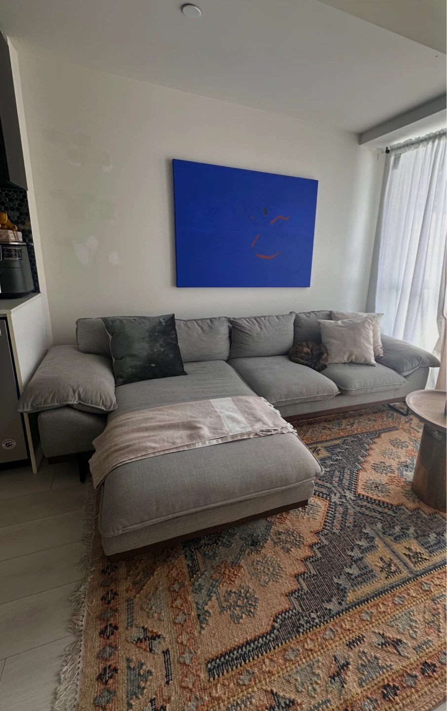 Article Sofa - 1.5 yr old light gray left sectional