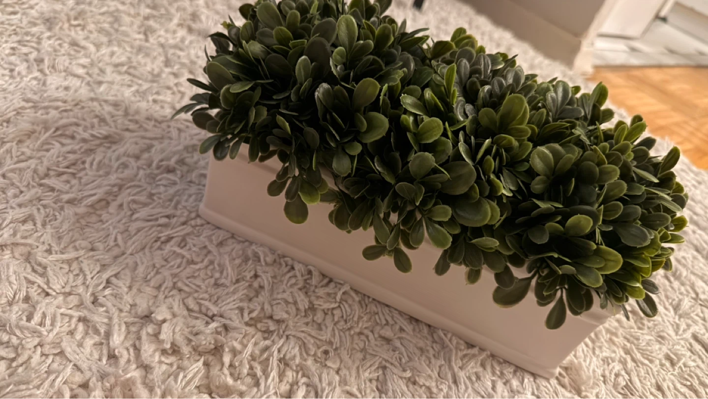 Artificial Plant in White Planter