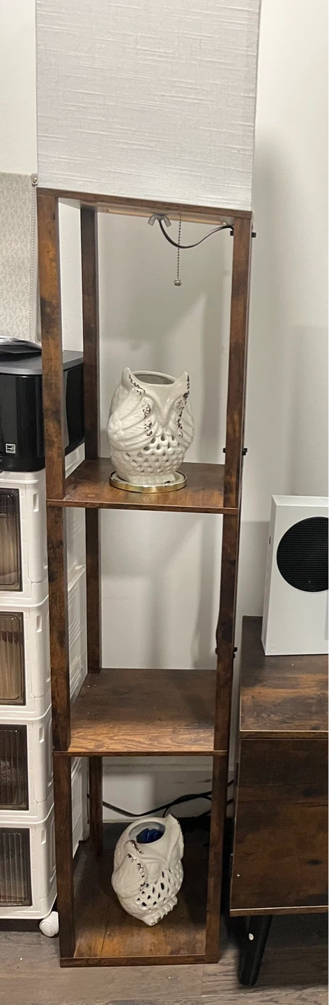 Wooden Ladder Shelf with Lampshade