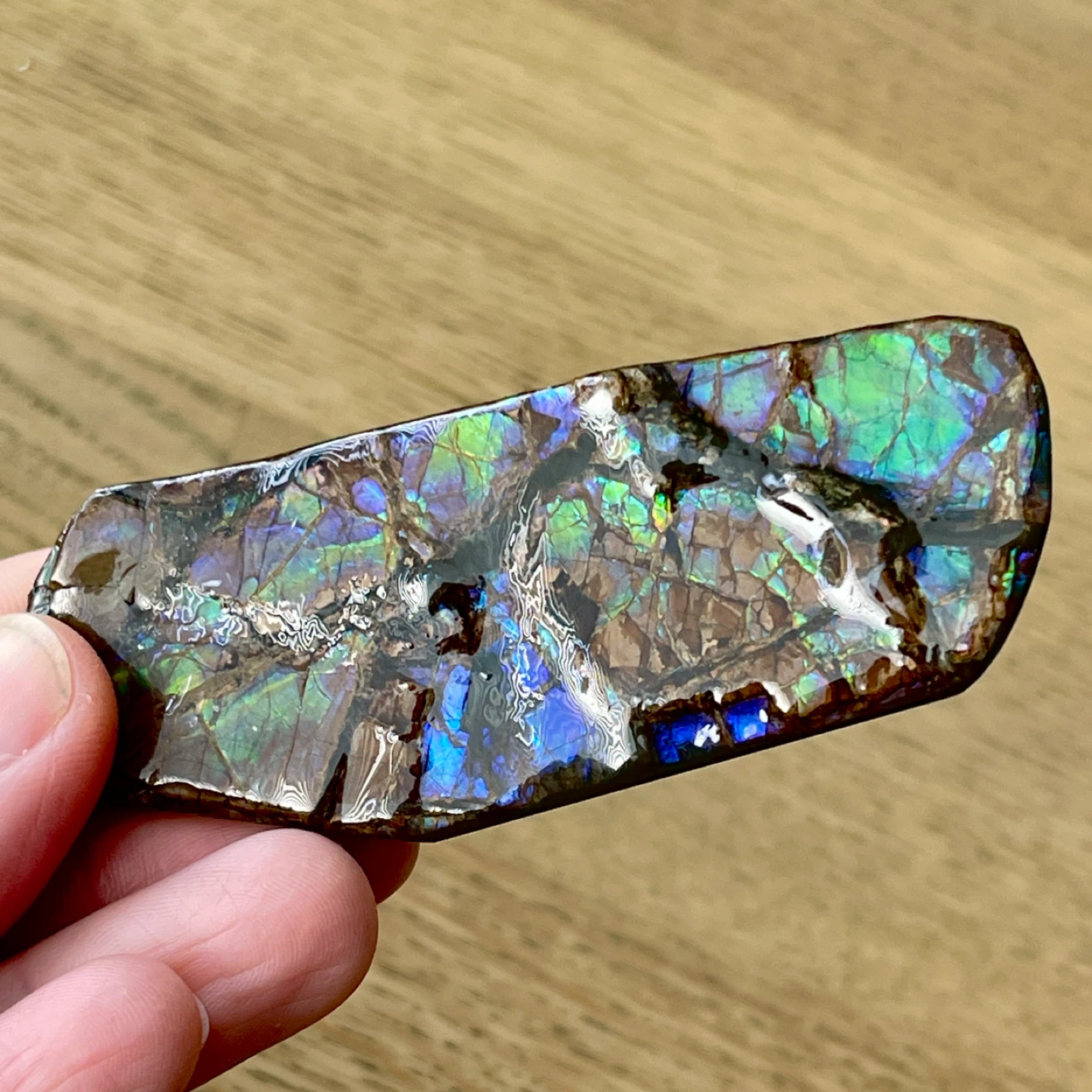 Rare blue/violet Ammolite specimen from Alberta - photo 2