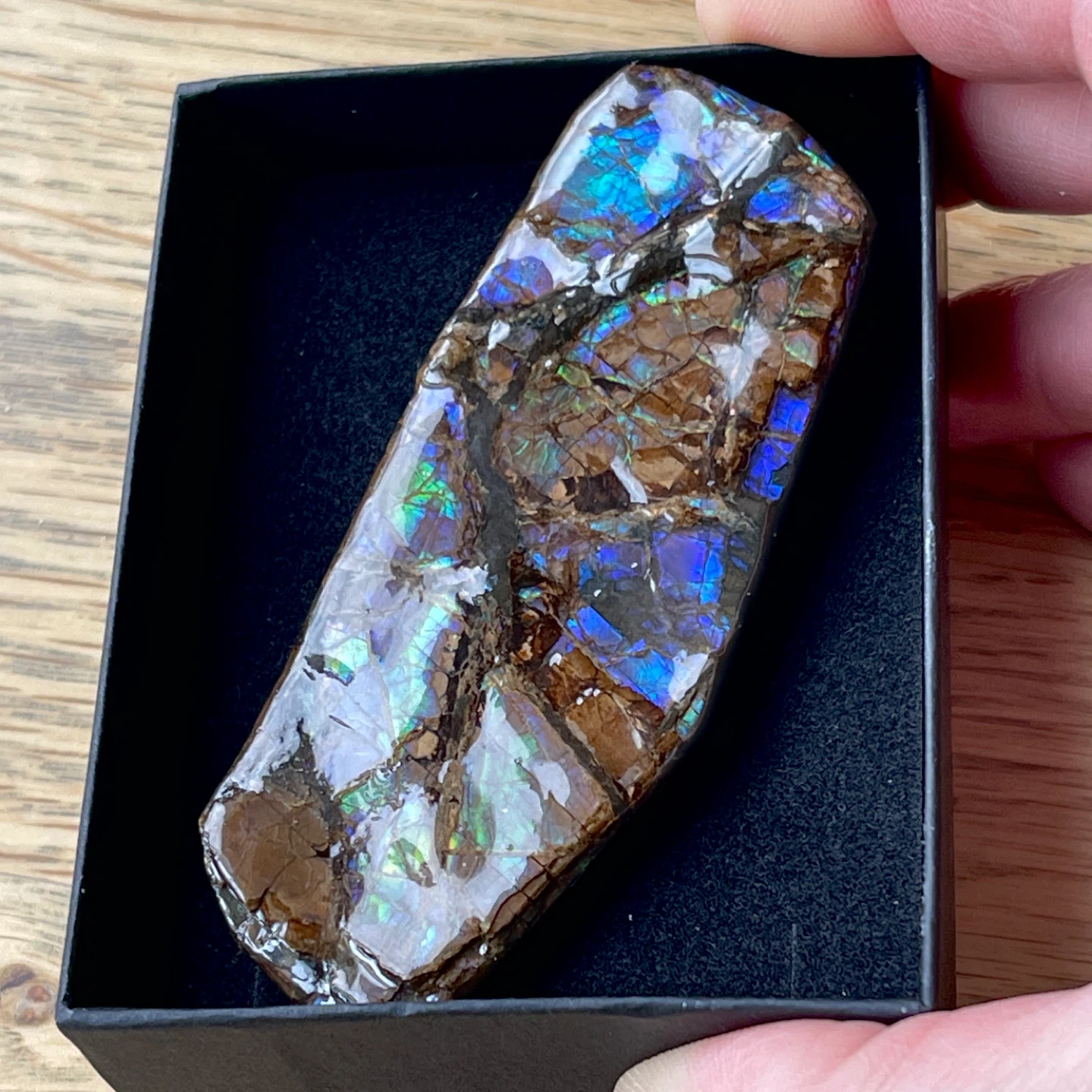 Rare blue/violet Ammolite specimen from Alberta - photo 5