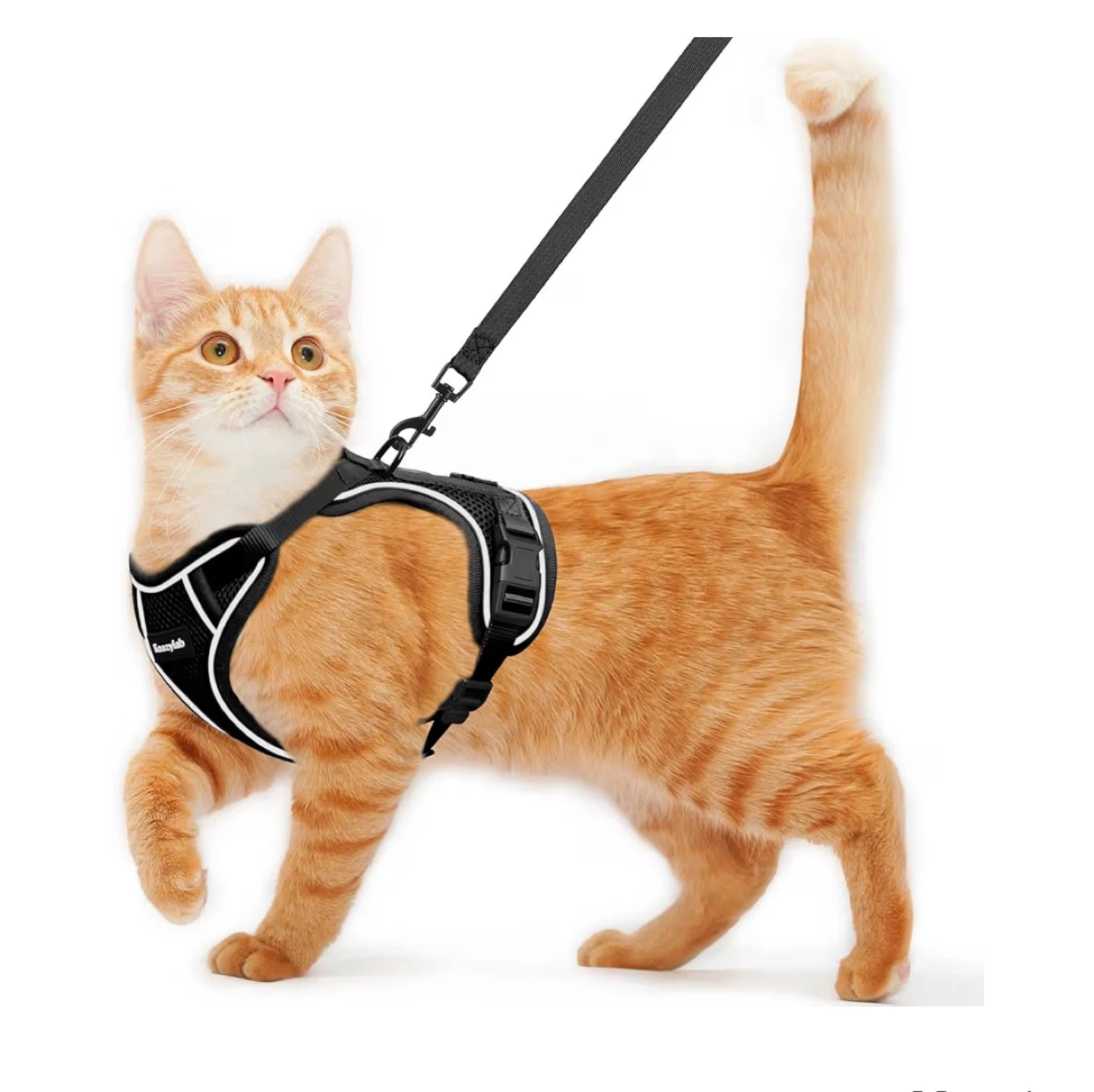 Cat Harness and Leash Set - Size S, Black