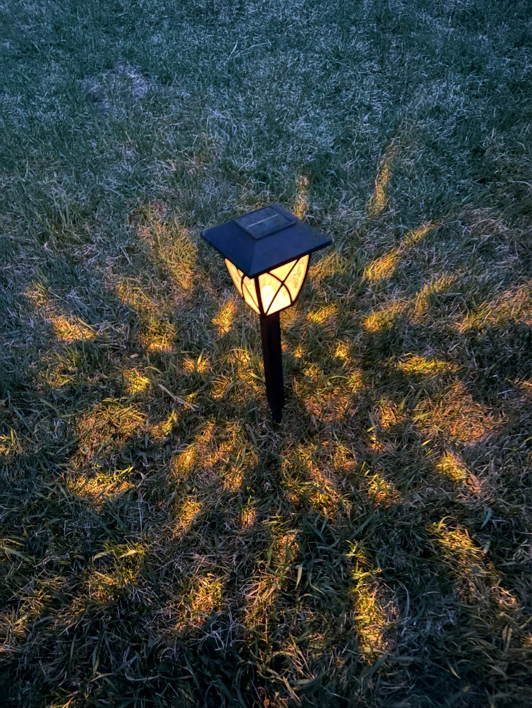 Pair of Solar Pathway Lights