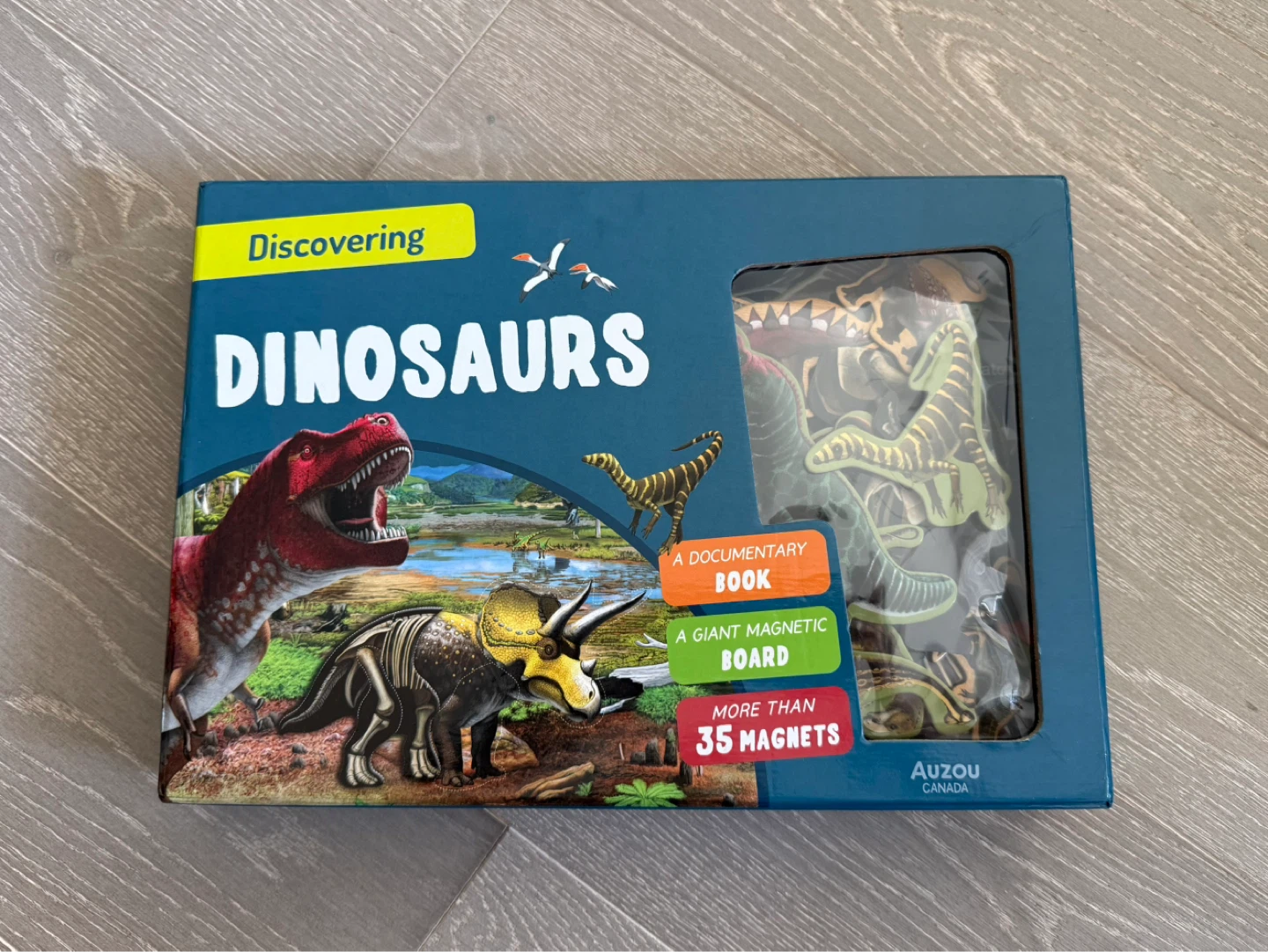 Dinosaurs Magnetic Board and Book Set