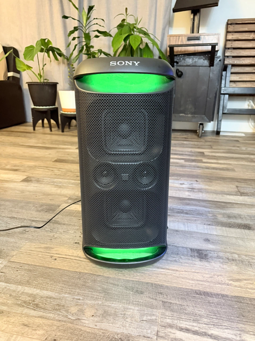 Sony Wireless Party Speaker