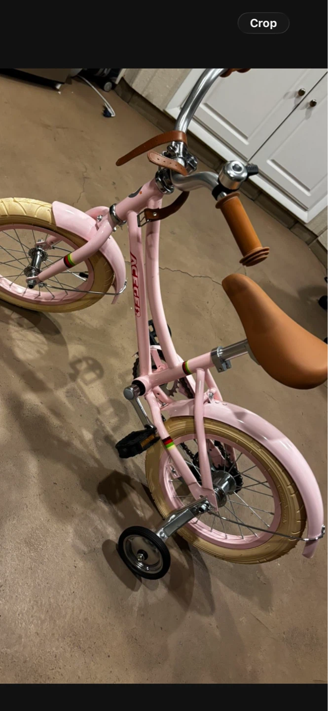 Girls Bicycle With Training Wheels