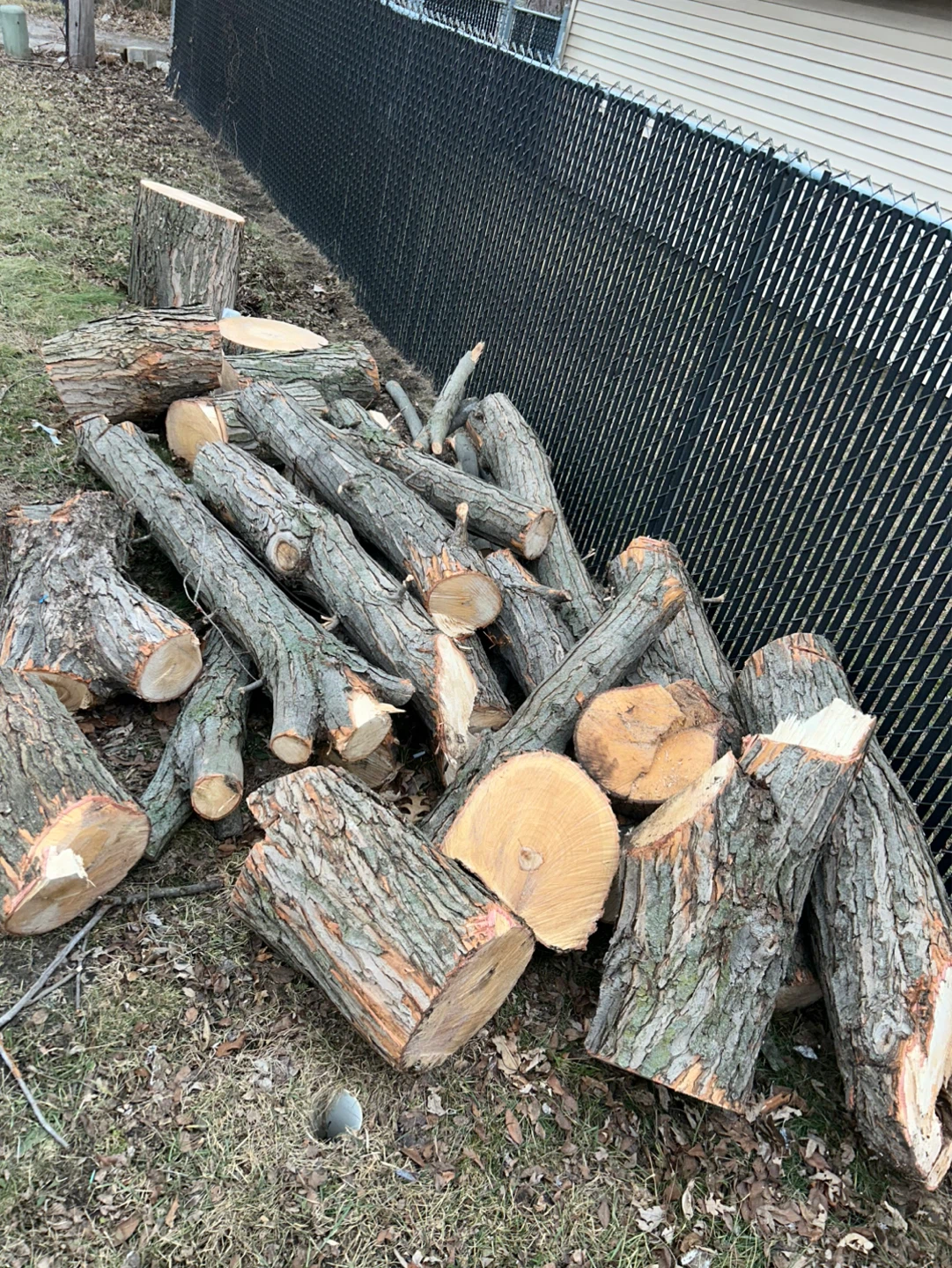 Full Truck Load of Junk Removal Same Day Pickup - photo 2
