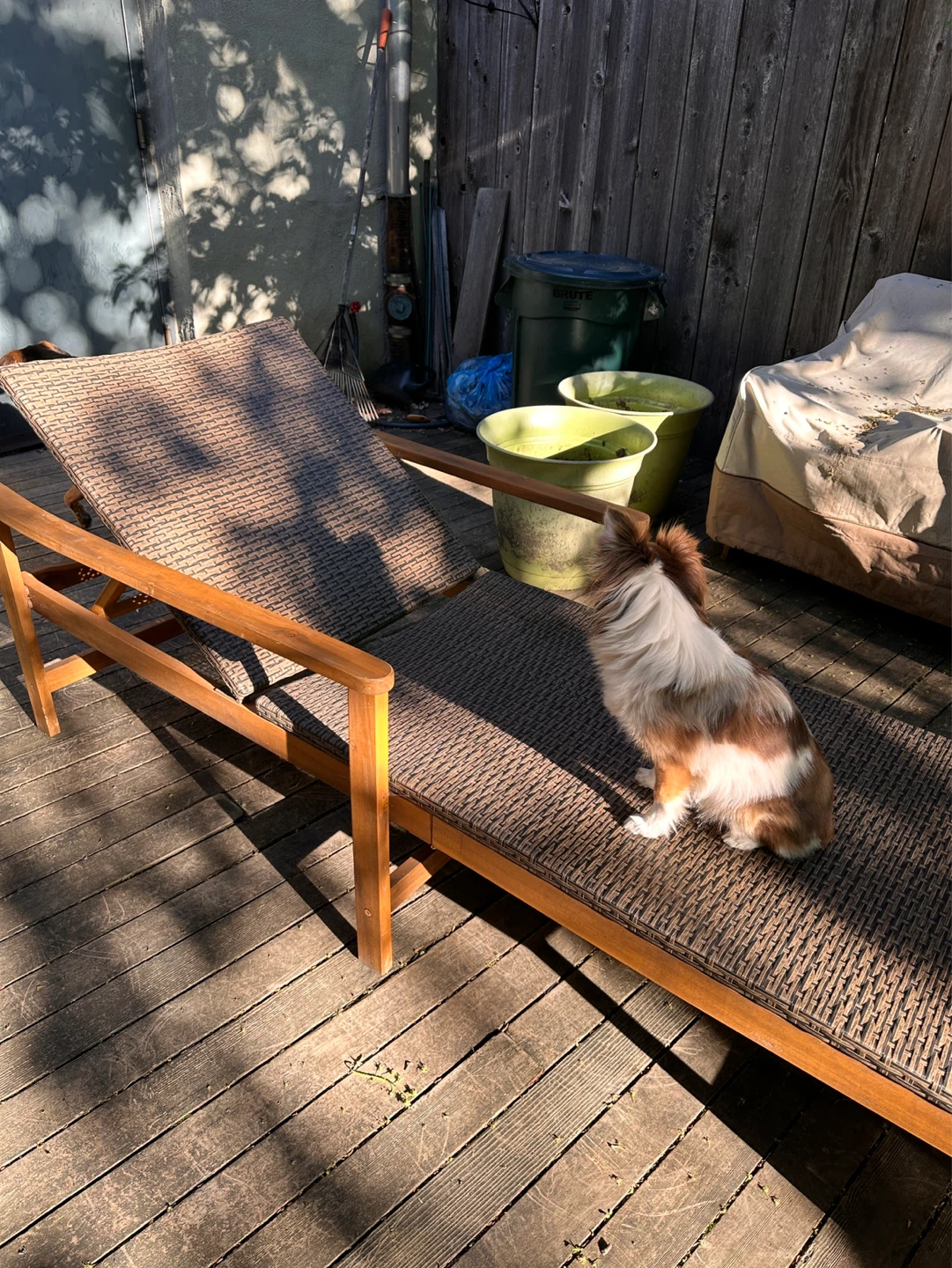 Outdoor Chaise Lounge Chair