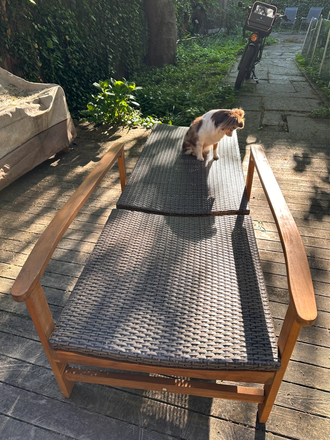 Outdoor Chaise Lounge Chair - photo 4