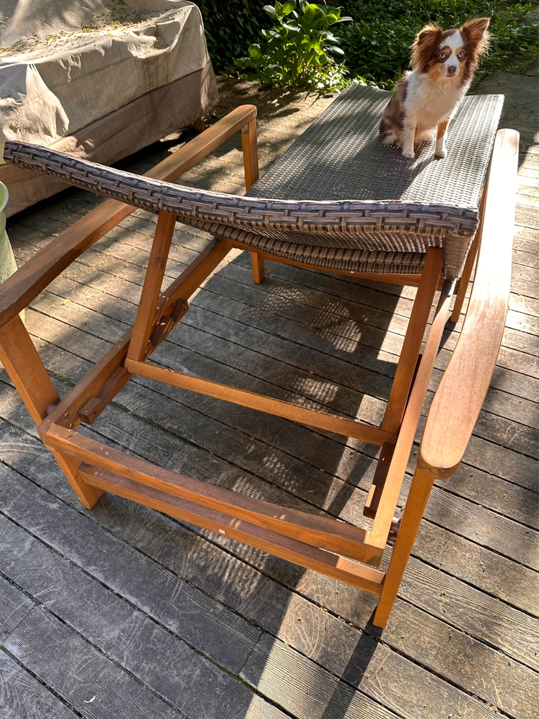 Outdoor Chaise Lounge Chair - photo 2