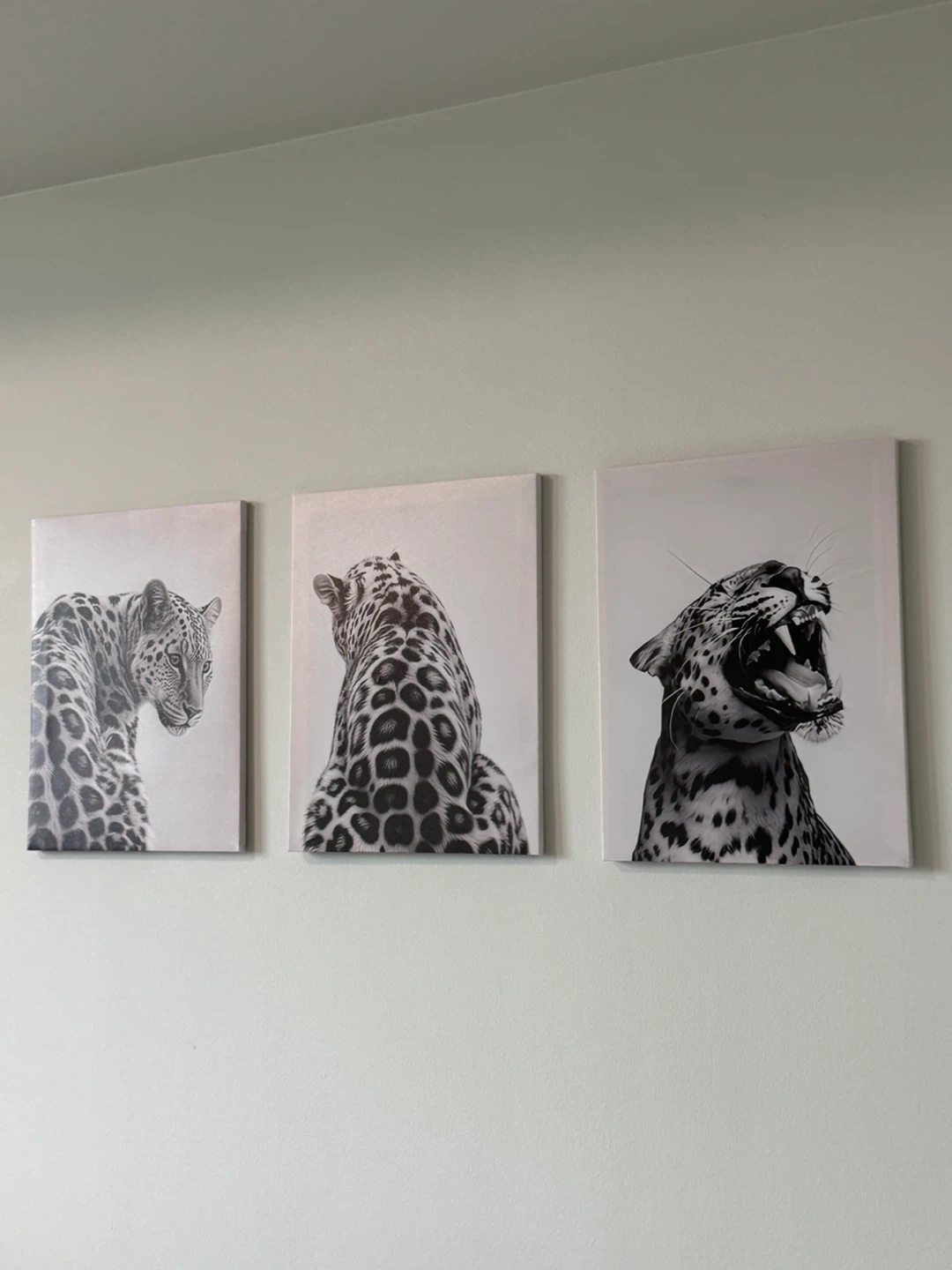 Set of 3 Leopard Canvas Prints