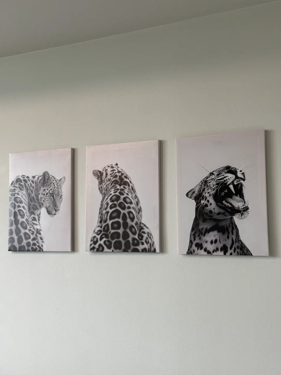 Set of 3 Leopard Canvas Prints