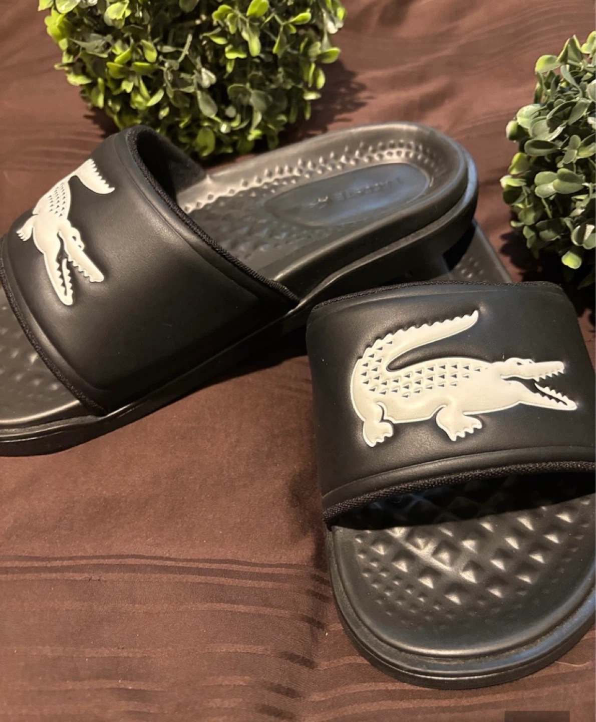 Sandales Lacoste noires pour homme - photo 3