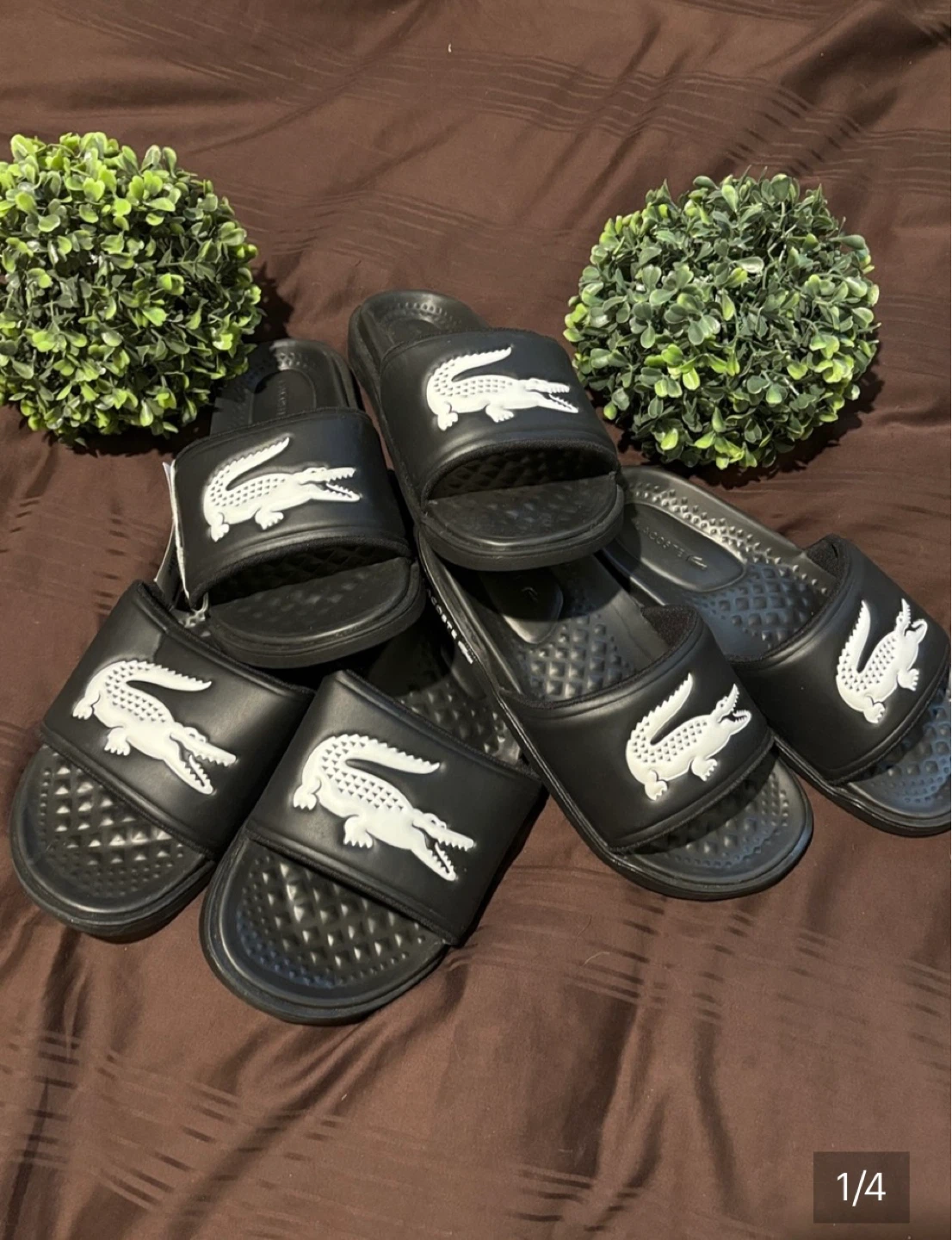 Sandales Lacoste noires pour homme