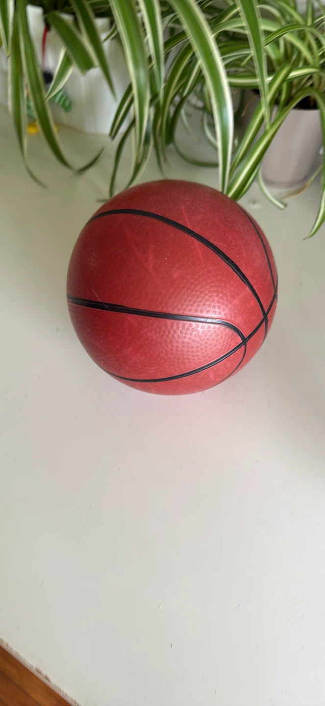Mini Basketball Hoop and Ball Set - photo 2