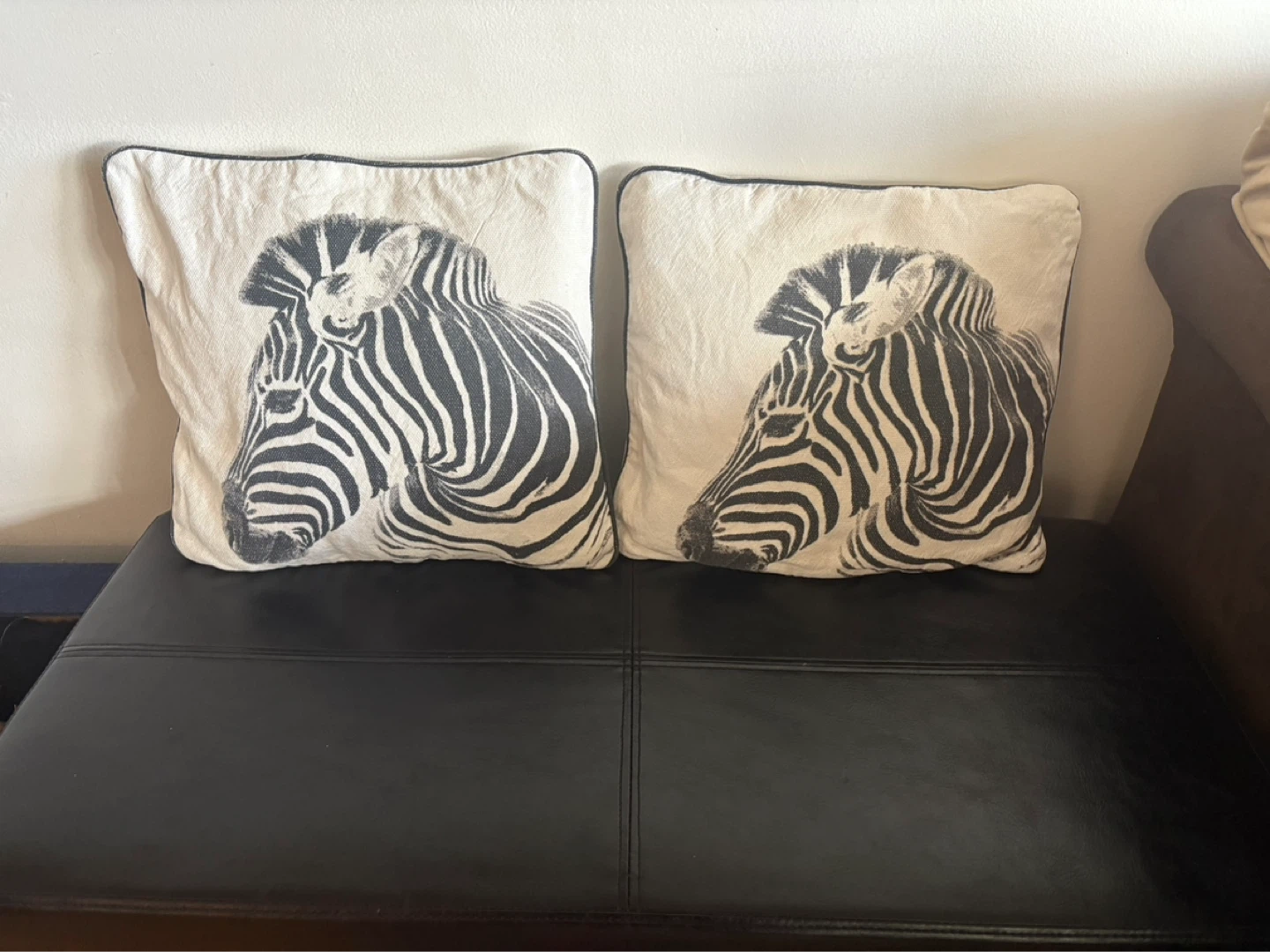 Decorative Throw Pillow with Zebra Print