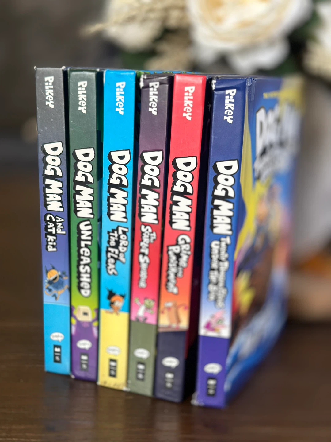 Dog Man and Diary of a Wimpy Kid Book Set - photo 2