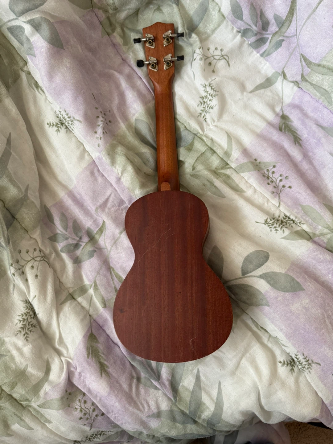 Denver Soprano Ukulele - photo 2