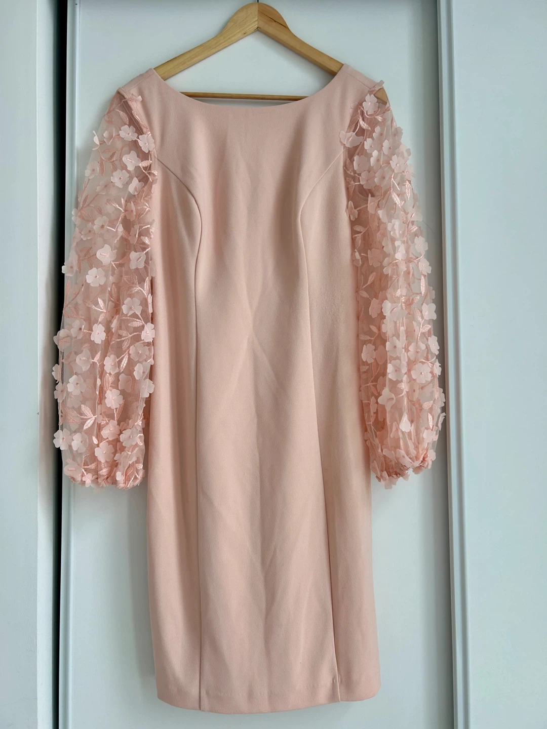 Eliza J 3D Floral Sleeve Evening Gown | Size 10 - photo 2