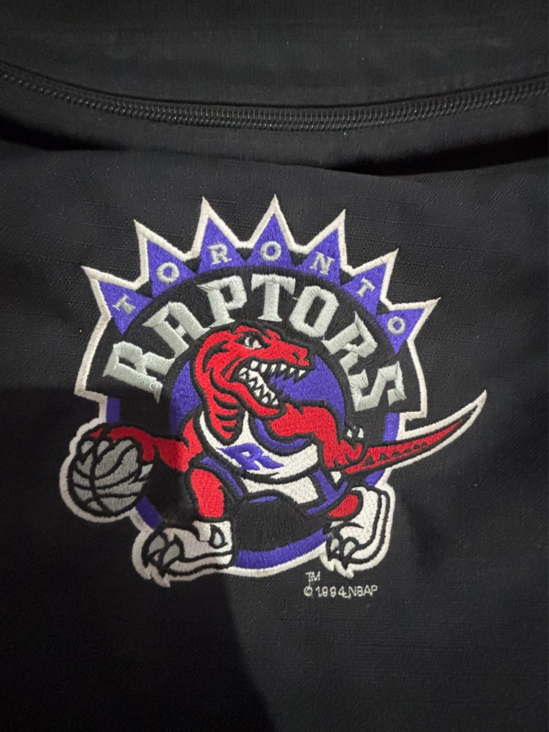 Toronto Raptors Embroidered Garment Bag - photo 2